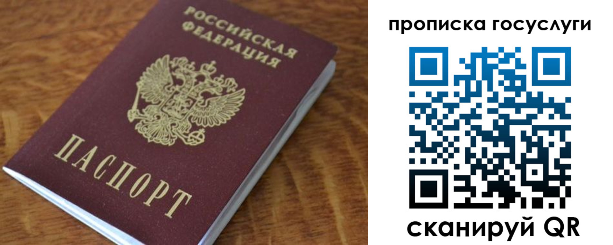 временная регистрация гарантия в Долгопрудном